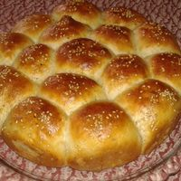 فطيرة الخلية